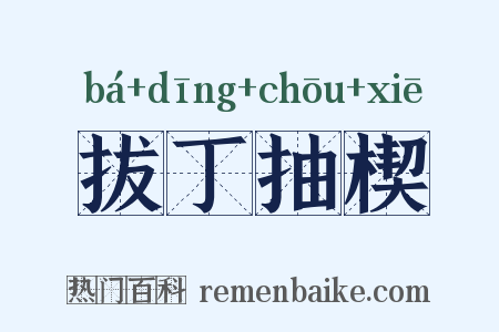拔丁抽楔是什么意思的图片